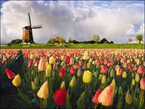 holland